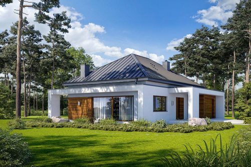 mala_kuca_porodicna_kuca_kuca_za_cetvoroclanu_porodicu_kuca_za_dvoje_bela_kuca_sivi_krov_drvo_na_fasadi_kuca_u_prirodi