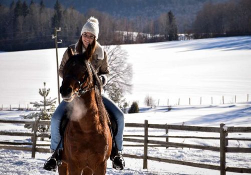 sara-ninkovic-872x610