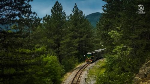 tablet_32315017074231086