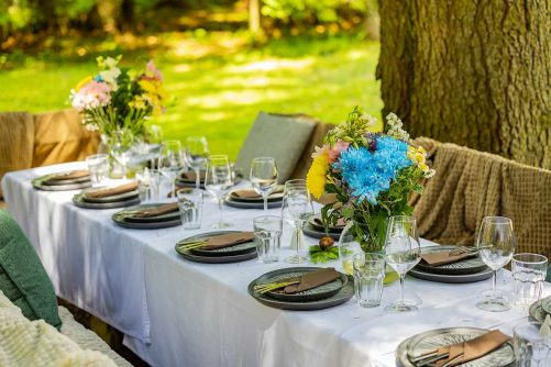 Dozivite-Kopaonik-i-leto-sa-pet-zvezdica-1