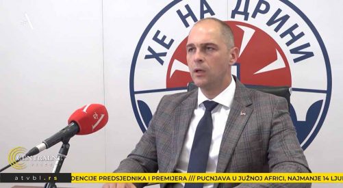 nedeljko perisic