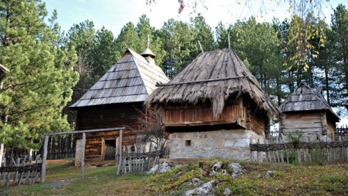 677z381_sirogojno1
