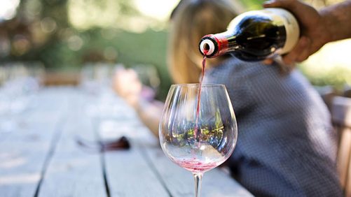 677z381_vino-pix