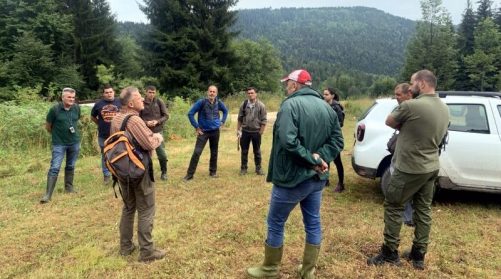 franklinia-2-1024x768-1-800x445