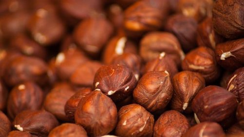 hazelnuts-1707601__340