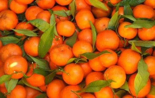 mandarine