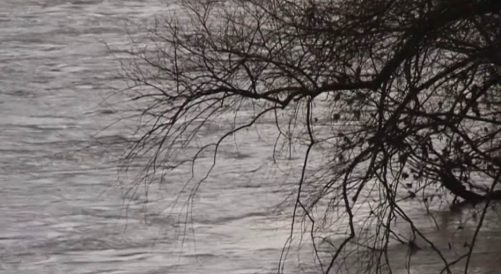Drina 1